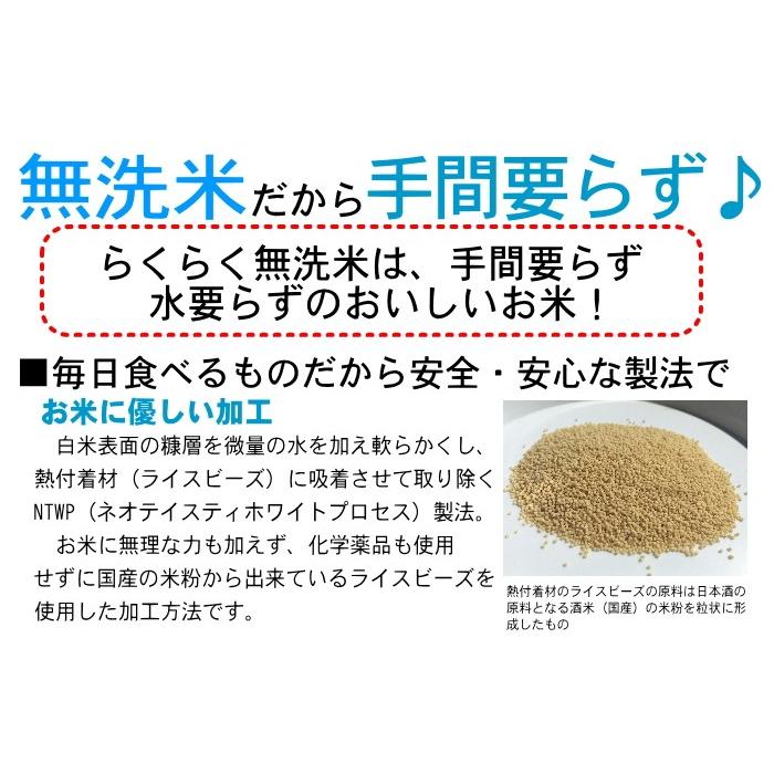 米 無洗米 5kg コシヒカリ 福井県産 白米  令和4年産 送料無料