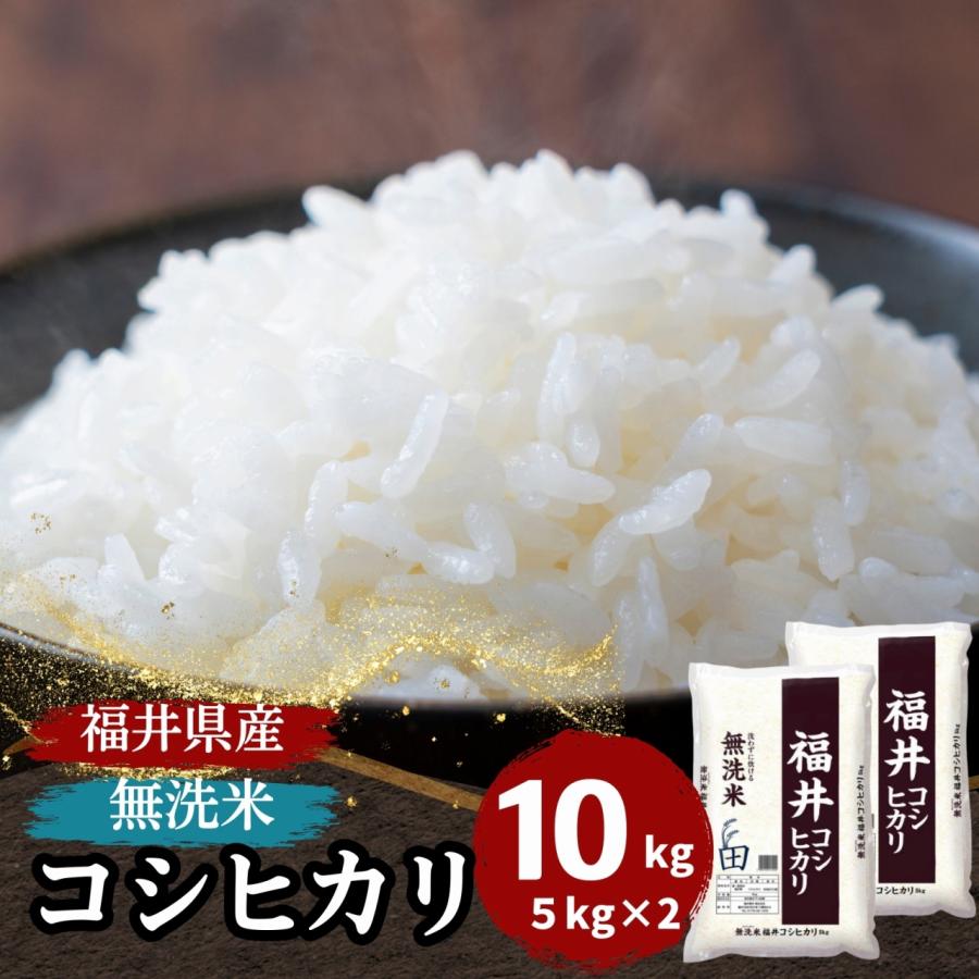 米 無洗米 10kg 人気を誇る が大特価！ 5kg×2袋 コシヒカリ 白米 令和3年産 福井県産 送料無料