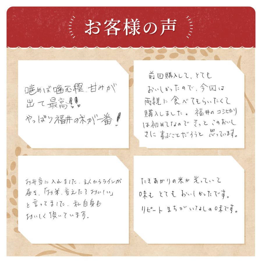 米 無洗米 10kg 5kg×2袋 コシヒカリ 福井県産 白米 令和5年産 送料無料｜fukuikomeya｜05