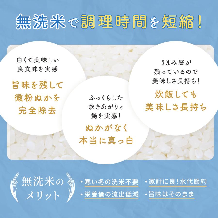 米 無洗米 10kg 5kg×2袋 コシヒカリ 福井県産 白米 令和5年産 送料無料｜fukuikomeya｜06