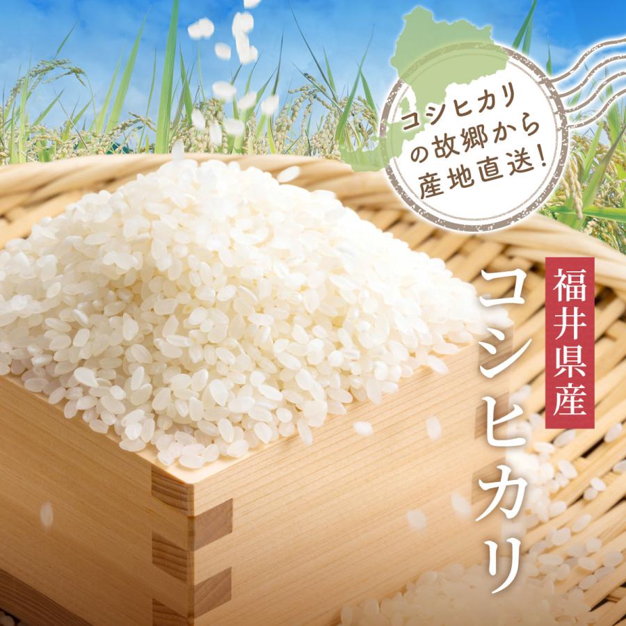 米 無洗米 20kg 5kg×4袋 コシヒカリ 福井県産 白米 令和5年産 送料無料｜fukuikomeya｜02