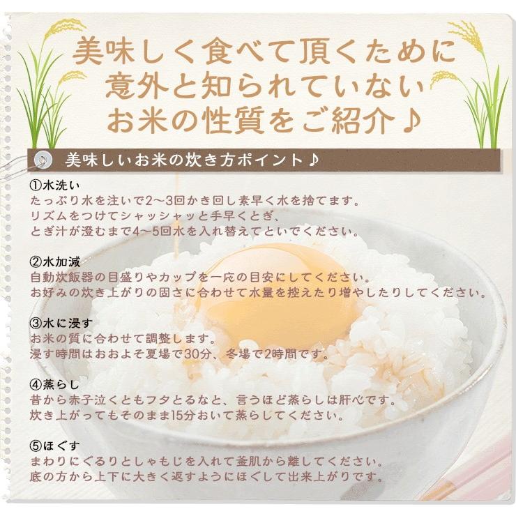 米 10kg 5kg×2袋 コシヒカリ 福井県大野産 白米 令和5年産 送料無料｜fukuikomeya｜10