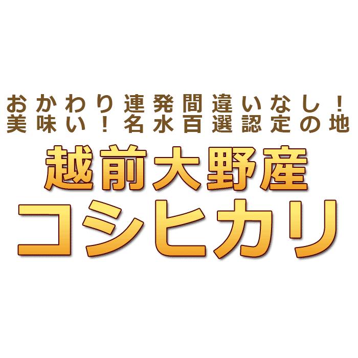 米 20kg 5kg×4袋 コシヒカリ 福井県大野産 白米 令和7年産 送料無料の 