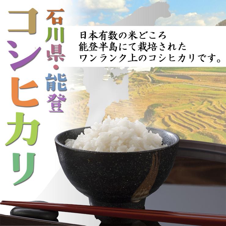 米 5kg コシヒカリ 石川県能登産 白米 令和5年産 送料無料｜fukuikomeya｜03