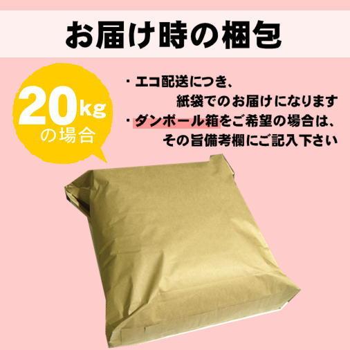 米 20kg 5kg×4袋 コシヒカリ 石川県能登産 白米 令和5年産 送料無料
