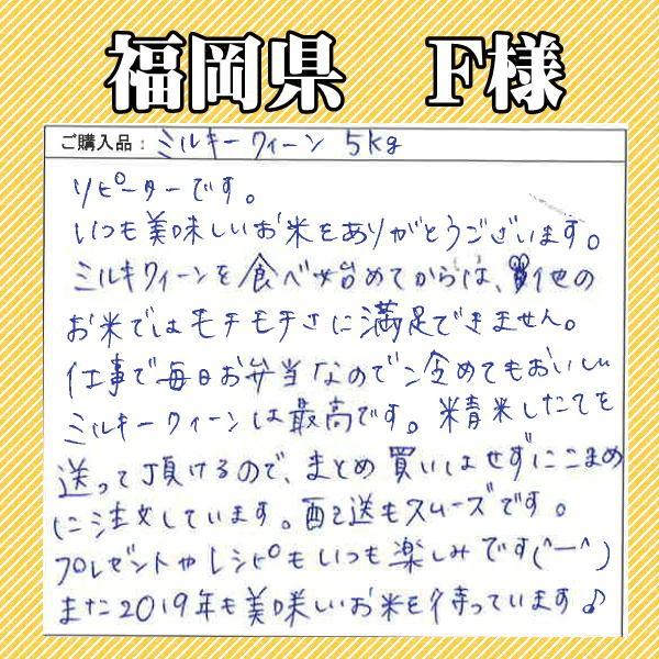 米 10kg ミルキークイーン 5kg×2袋 福井県産 白米 令和5年産 送料無料｜fukuikomeya｜15