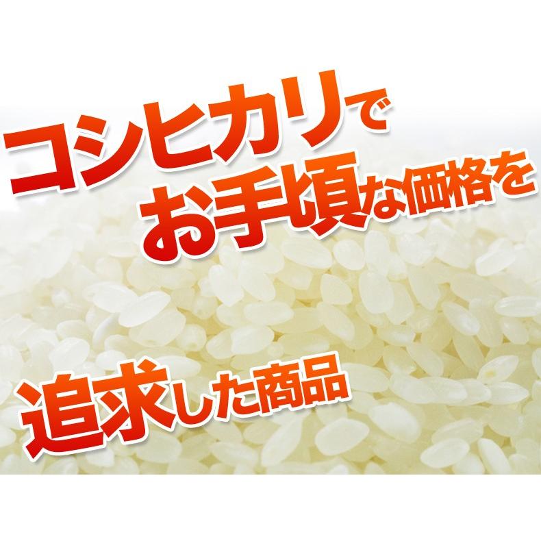 米 10kg 送料無料 コシヒカリ 白米 国内産 故郷コシヒカリ令和5年産｜fukuikomeya｜02