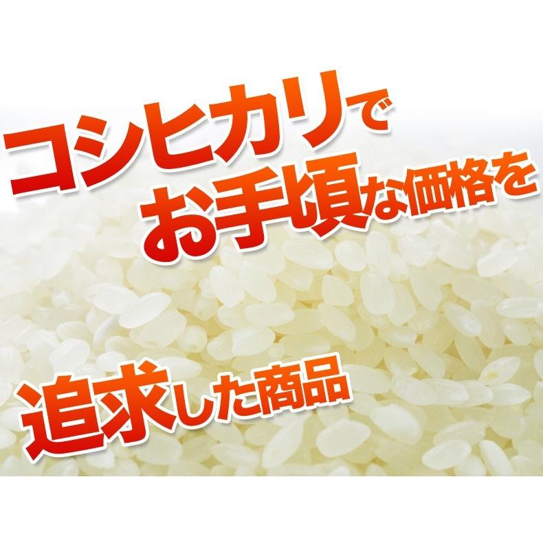 米 20kg 10kg×2袋 送料無料 コシヒカリ 白米 国内産 故郷コシヒカリ令和5年産｜fukuikomeya｜02