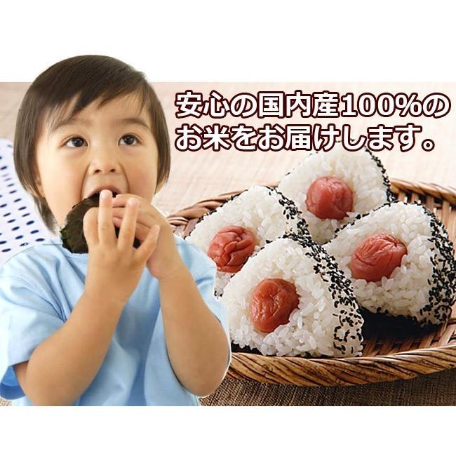 米 20kg 10kg×2袋 送料無料 国内産 日本の農家直送米 白米 米 20kg 10kg×2袋 送料無料 国内産 日本の農家直送米 白米