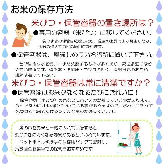 ミルキークイーン 15kg 送料無料 お米 白米 福井県大野産 令和5年産｜fukuikomeya｜07