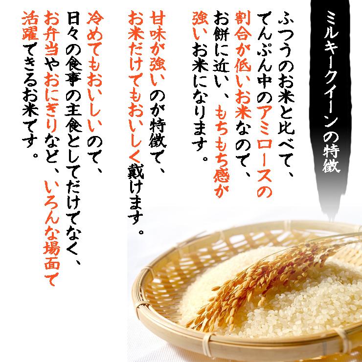 ミルキークイーン 15kg 送料無料 お米 白米 福井県大野産 令和7年産_3