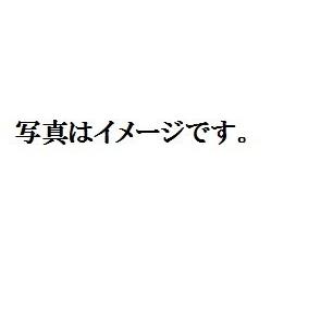 懐石道具 木目長角会席膳 黒渕朱5客揃 鉢 9寸 ABS外木目 新こね鉢 外黒内朱天黒 f8-652-1 : 料理道具の