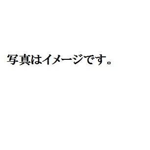 皿 尺2寸くま笹盛器 パールシルバー メラミン複合樹脂製 f7-499-14｜fukuji-net｜04