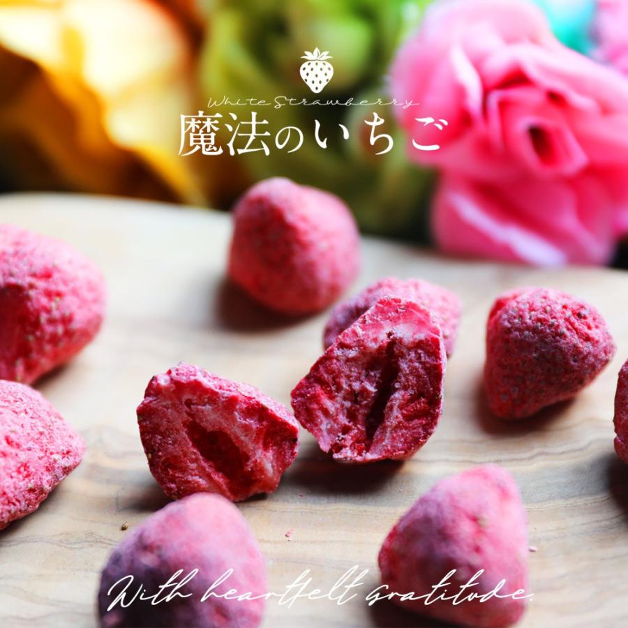 Tvで話題 バレンタイン ホワイトデー お返し 魔法のいちごチョコ 75g 含侵チョコ 苺 イチゴ ギフト 紙袋付 ホワイトデー お返し ホワイトデーギフト 3602 紀州 福亀堂 通販 Yahoo ショッピング