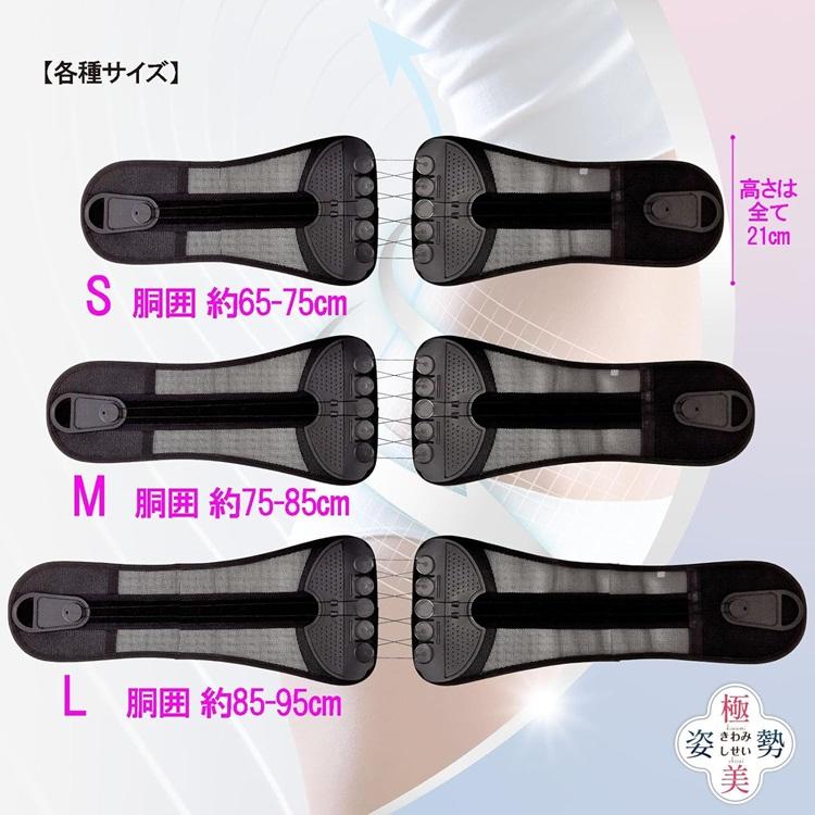 向日葵」 極美姿勢（男女兼用） Lサイズ 介護 腰痛 背骨 コルセット