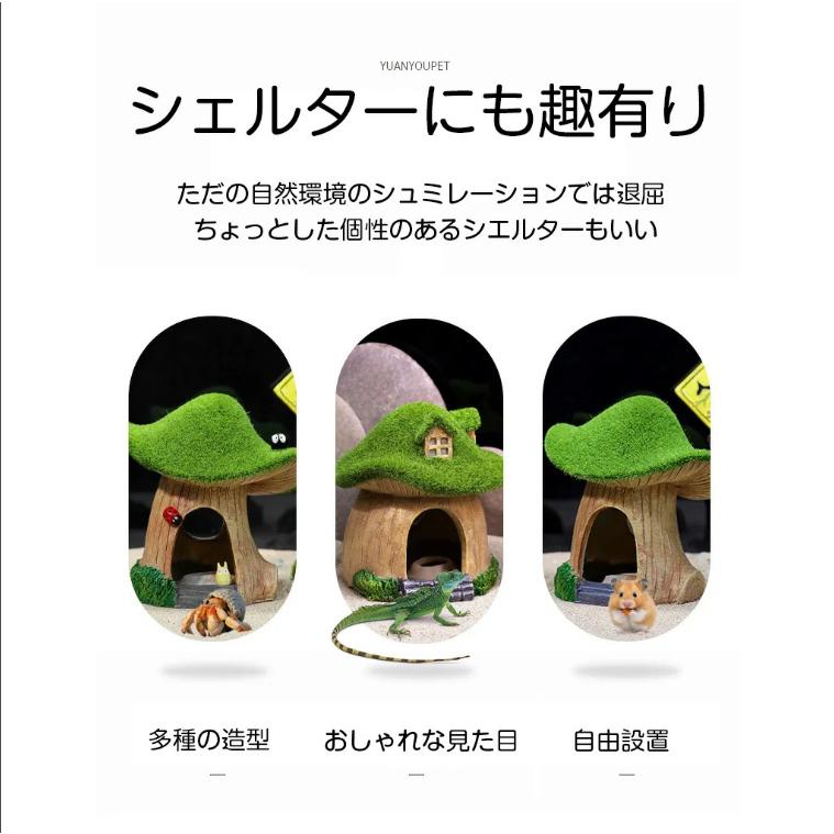 爬虫類 シェルター キノコシェルター 隠れ家 バスキングスポット 爬虫類 シェルター キノコシェルター 隠れ家 バスキングスポット