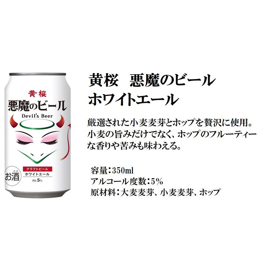 エチゴビール（ECHIGO BEER） ビール ギフト 国産クラフトビール 白