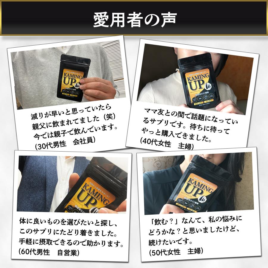 ノコギリヤシ イソフラボン サプリ 育活 毛毛活動 女性にも Kaming Up カミングアップ ３袋 送料無料 育毛 栄養 頭髪ケア 薄毛 増 抜け毛予防 Kamingup Fuku 102 3 福耳商店 通販 Yahoo ショッピング