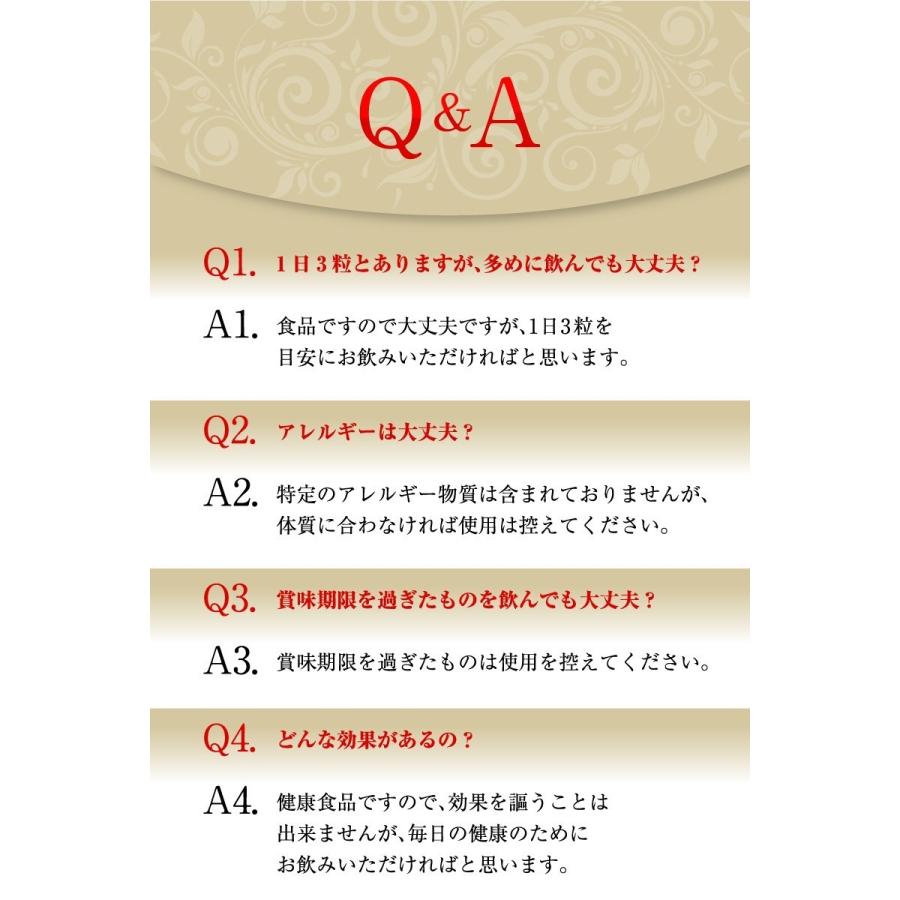 マカ サプリ 男性 女性の 元気の味方 活力 Macative365 溢れる男女の10袋セット マカティブ365 クラチャイダム アルギニン 全13成分 妊活 体調管理 向上 Macative 10 福耳商店 通販 Yahoo ショッピング