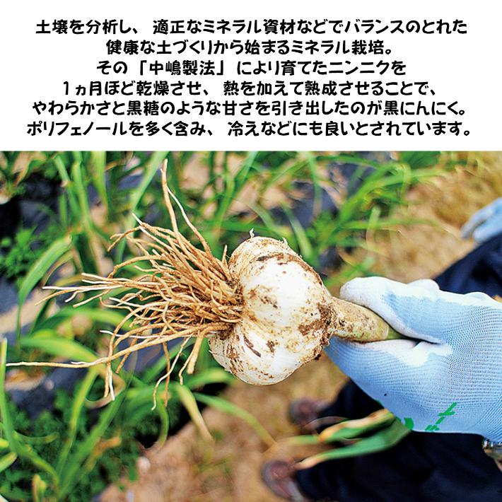 国内正規品 送料無料 黒にんにく 福島県 小野町産 ３個入り ５袋 にんにく Sooperchef Pk