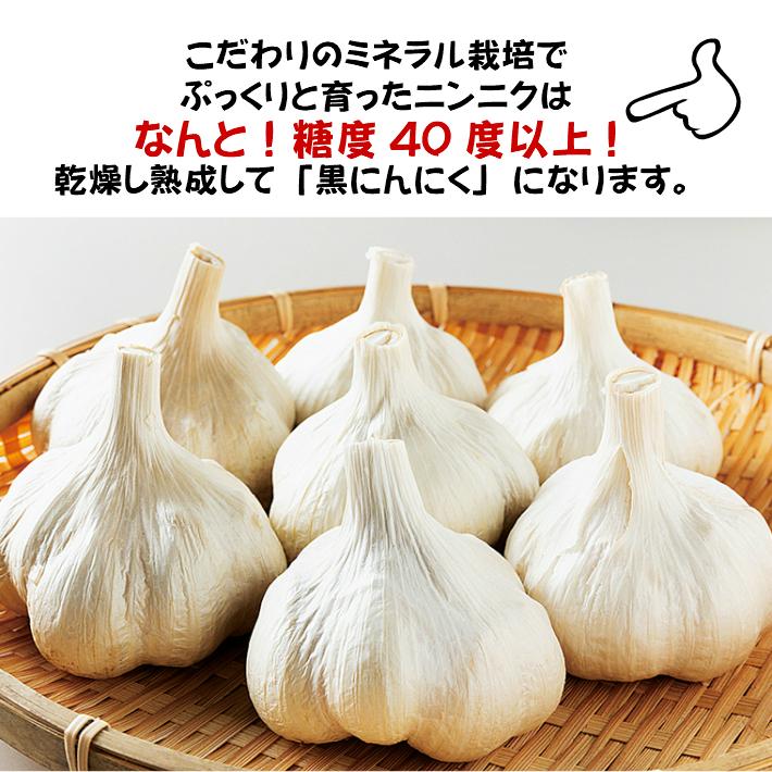 国内正規品 送料無料 黒にんにく 福島県 小野町産 ３個入り ５袋 にんにく Sooperchef Pk