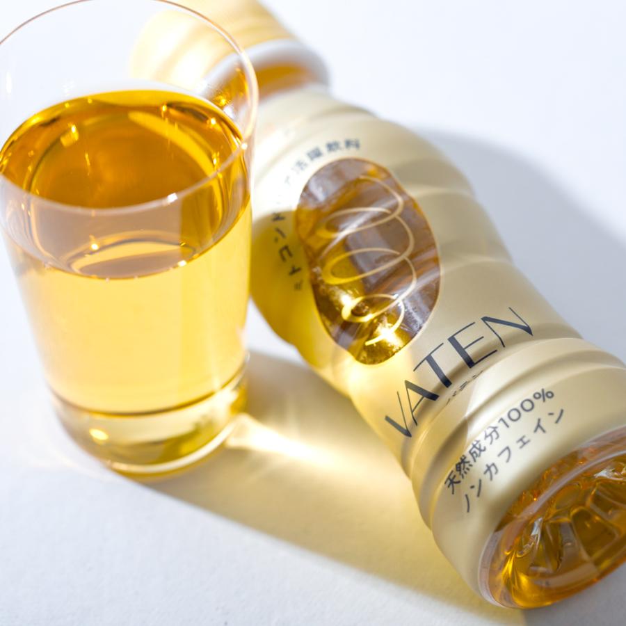 福光屋 VATEN バテン 100ml 10本入【ペットボトルにリニューアル