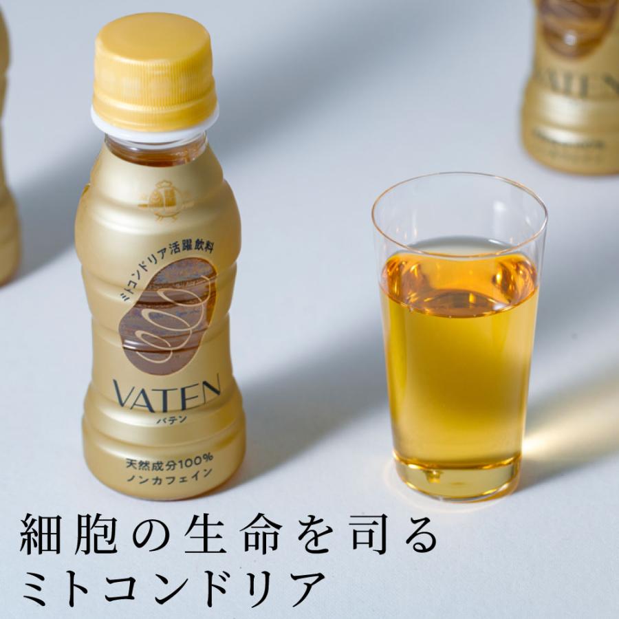 福光屋 VATEN バテン 100ml 10本入【ペットボトルにリニューアル