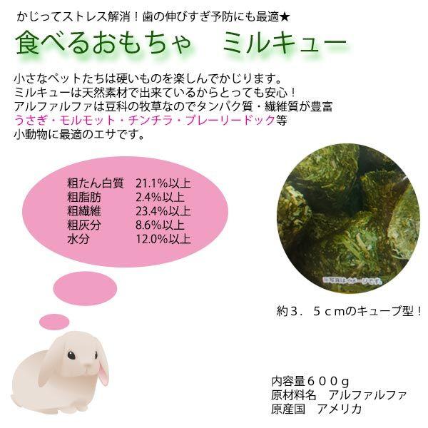 モルモットは桃を食べることができますか?