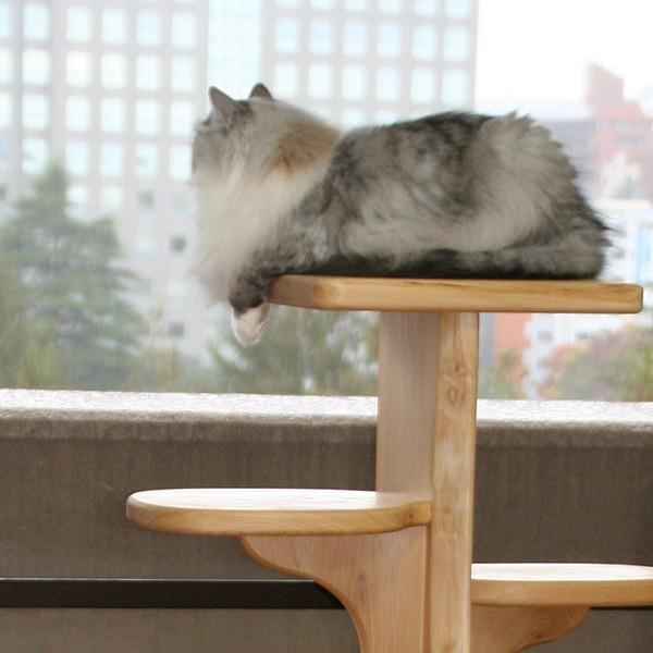 キャットツリーひぐらし 支柱2本タイプ : 福猫本舗 - 通販 - Yahoo 