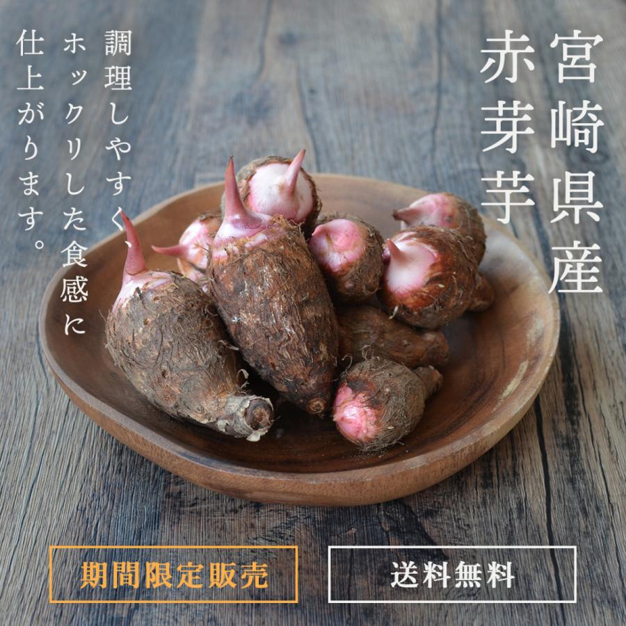 【創業160年の最高品質】里芋 5kg 送料無料 宮崎県都城産 さといも サトイモ 赤芽芋 セレベス 里いも｜fukunowa｜02