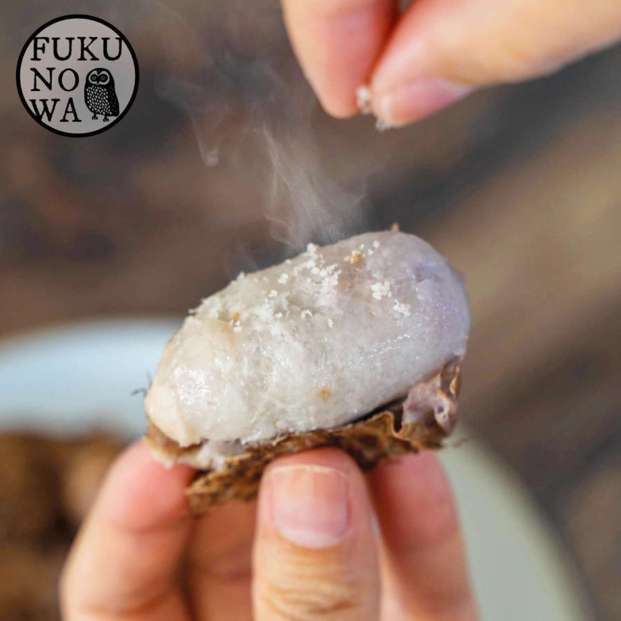 創業160年の最高品質】里芋 3kg 送料無料 宮崎県都城産 さといも