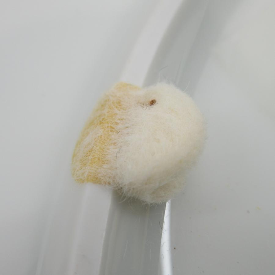 マイセン 直径31cm イヤープレート 1997年 「魔法の洞窟」 箱付き 食器