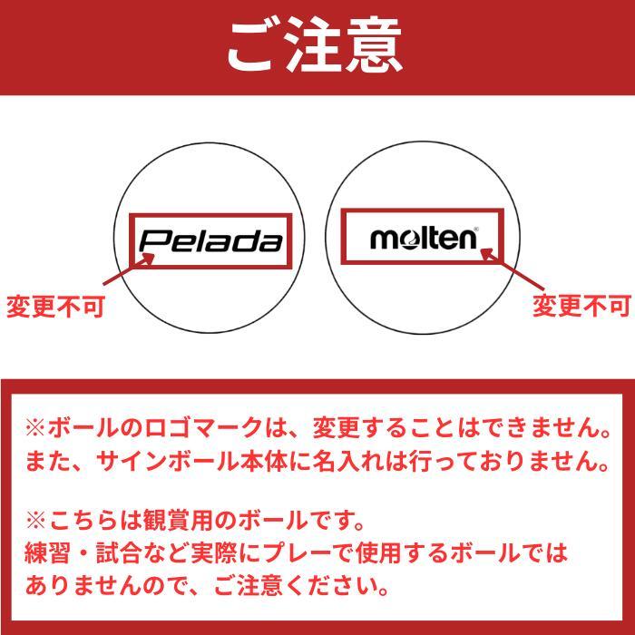 molten4管チアホーン1992 ナビスコカップステッカーつき Poppy Playtime ダイカットステッカー B – インフォレンズ・ギーク