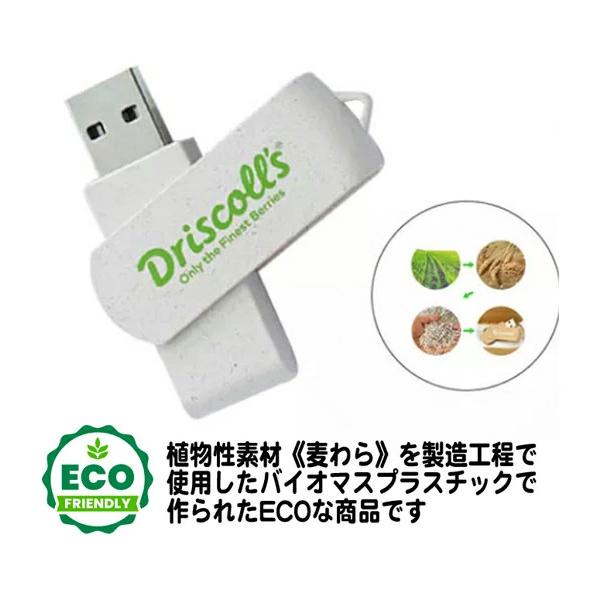 10個以上で名入れ可》USB メモリー 32GB SDGs 卒業記念品 記念品 卒団