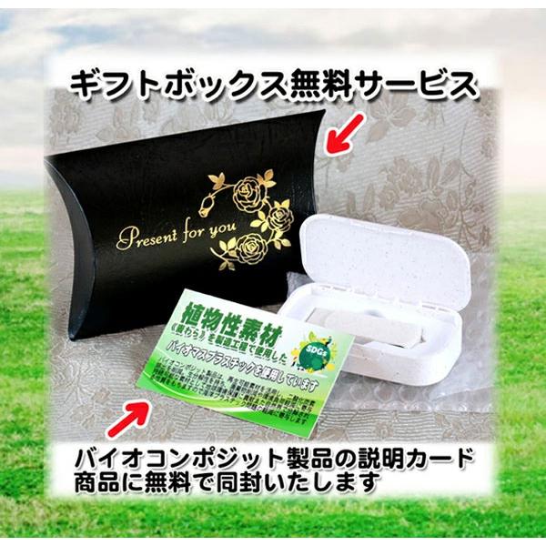 10個以上で名入れ可》USB メモリー 32GB SDGs 卒業記念品 記念品 卒団 