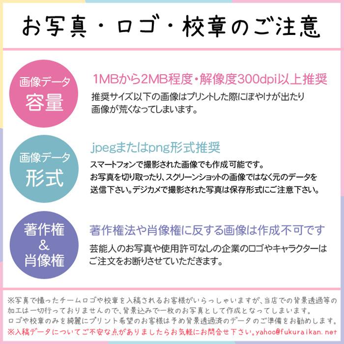 名入れ 写真 ロゴ ゴルフボール2個＆ボールケースセット ケース全4色