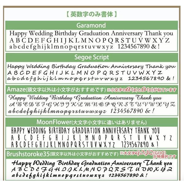 名入れ New5ファンクションペン 多機能ペン ボールペン シャープペン 名入れ無料 卒業 記念品 複合ペン 販促品｜fukurai｜03