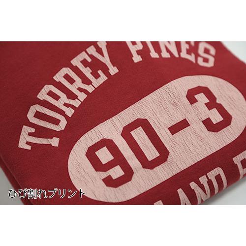 WAREHOSE/ウエアハウス ラグランスウェットパーカー 2nd hand 462 TORREY PINES｜fukuraku-store｜08