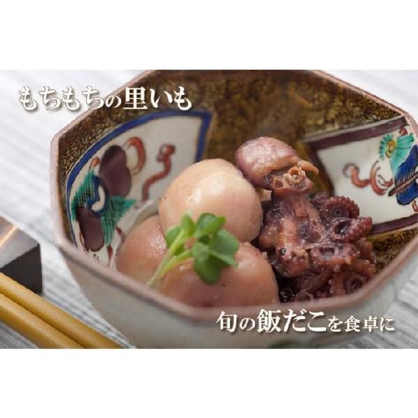 惣菜缶詰 金沢ふくら屋 味の匠S 缶詰8缶セット （賞味期限3年）/保存