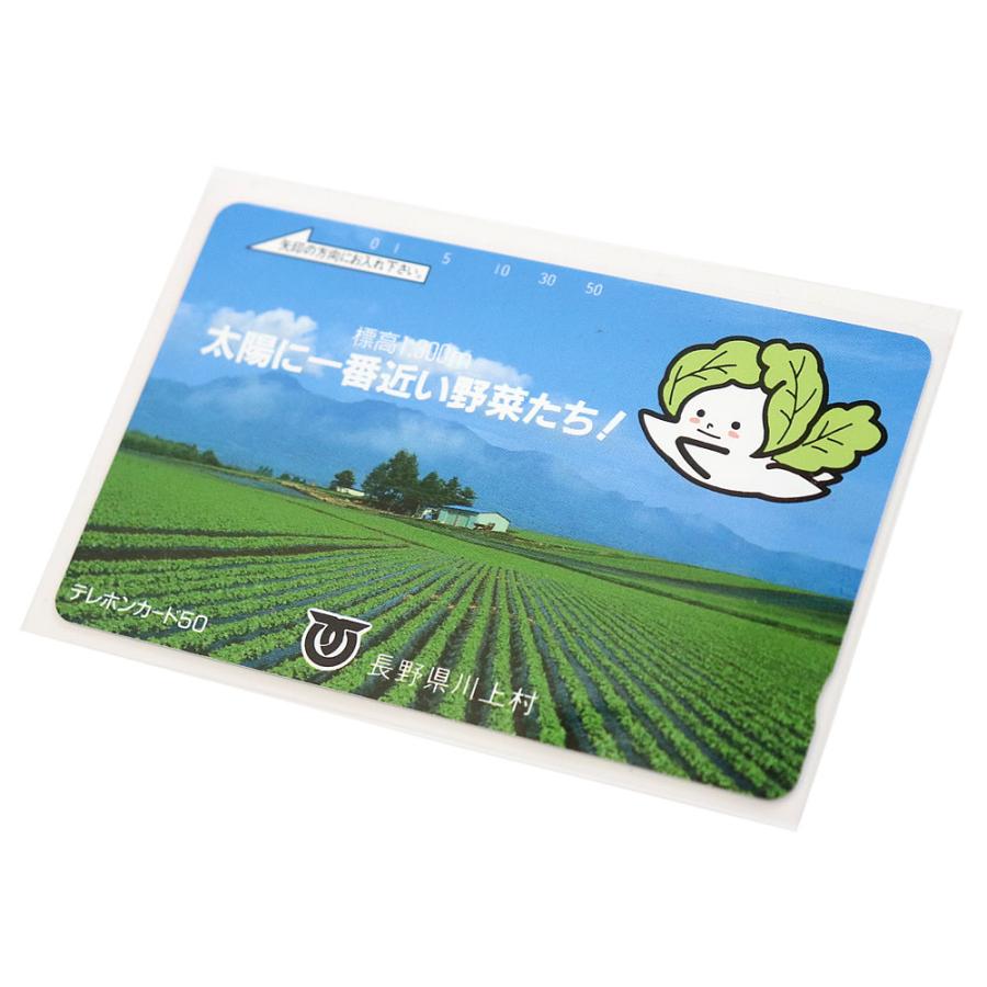 OPP袋 カード用 スリーブ テープなし 100枚 90x57+3mm S-テレカクリア