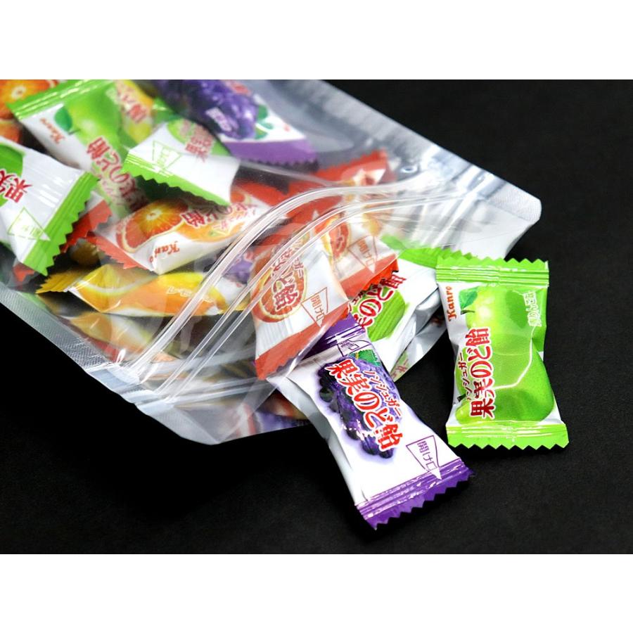 ラミジップ チャック袋 スタンドタイプ 片面透明 バリアタイプ 50枚