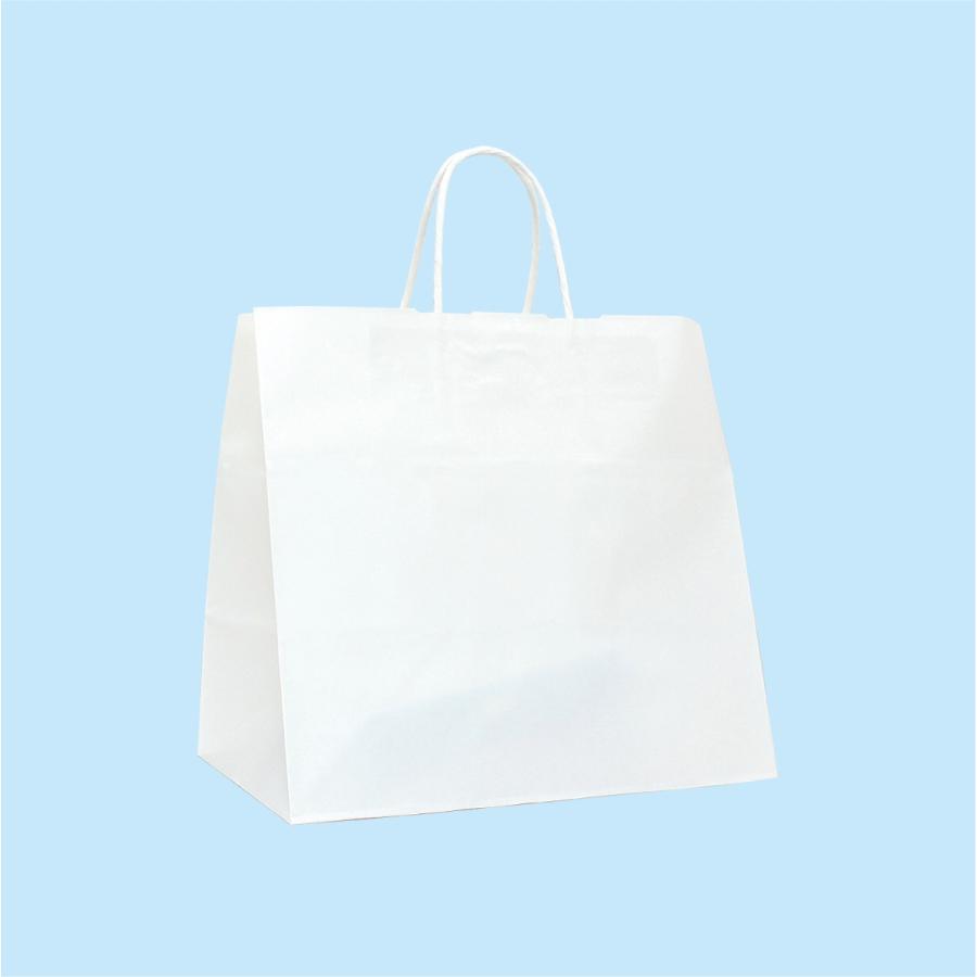 手提紙袋 白無地hw 2 3幅 0マチ 300高 50枚入 3404 ふくろ市場 通販 Yahoo ショッピング