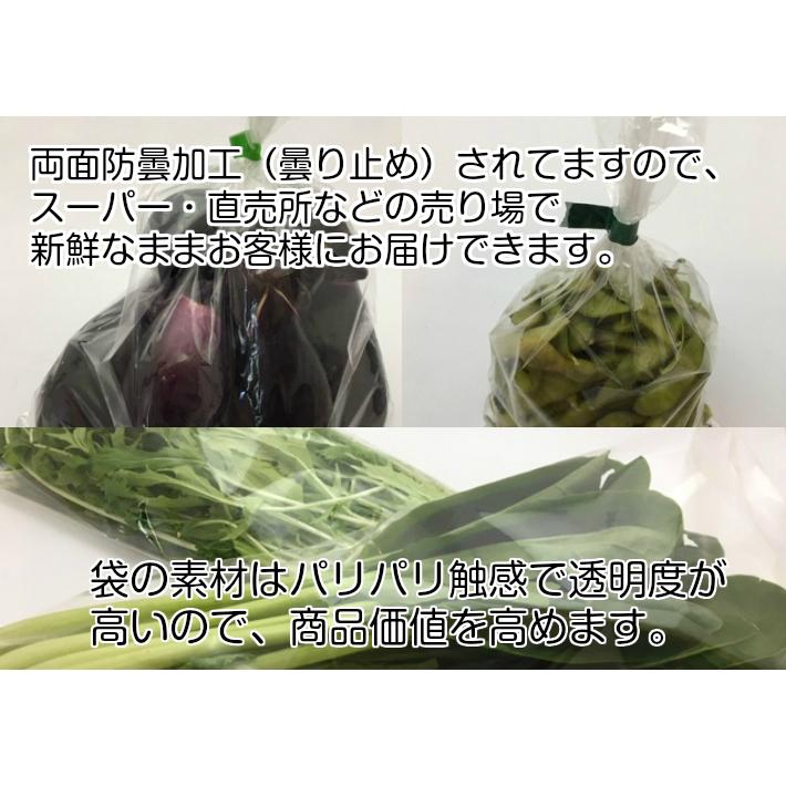 OPP ハイパーボードン #25 NO.9 4穴 0.025×150×300mm 1000枚入 信和