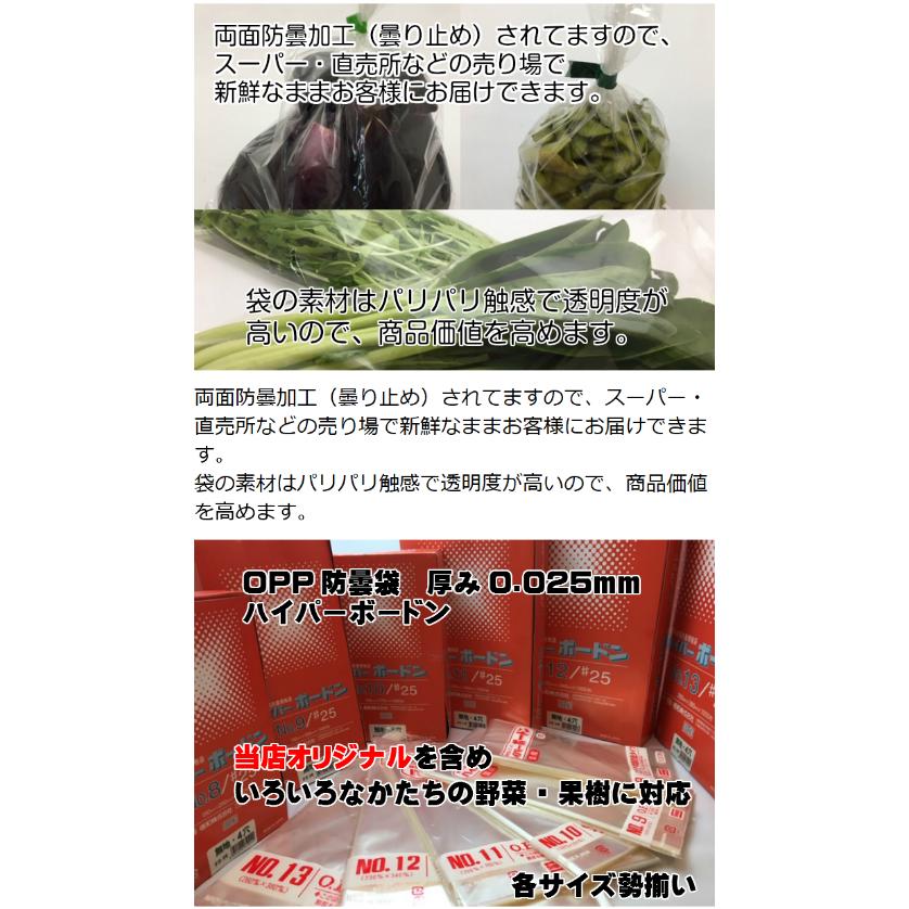 OPP ハイパーボードン #25 NO.12 4穴 0.025×230×340mm 1000枚入 信和