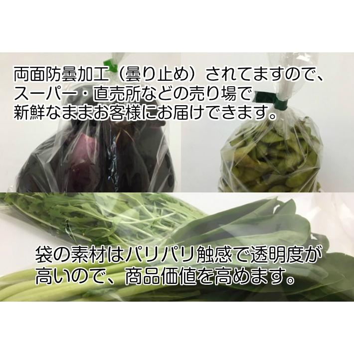 OPP ハイパーボードン #25 NO.12 4穴 0.025×230×340mm 1000枚入 信和