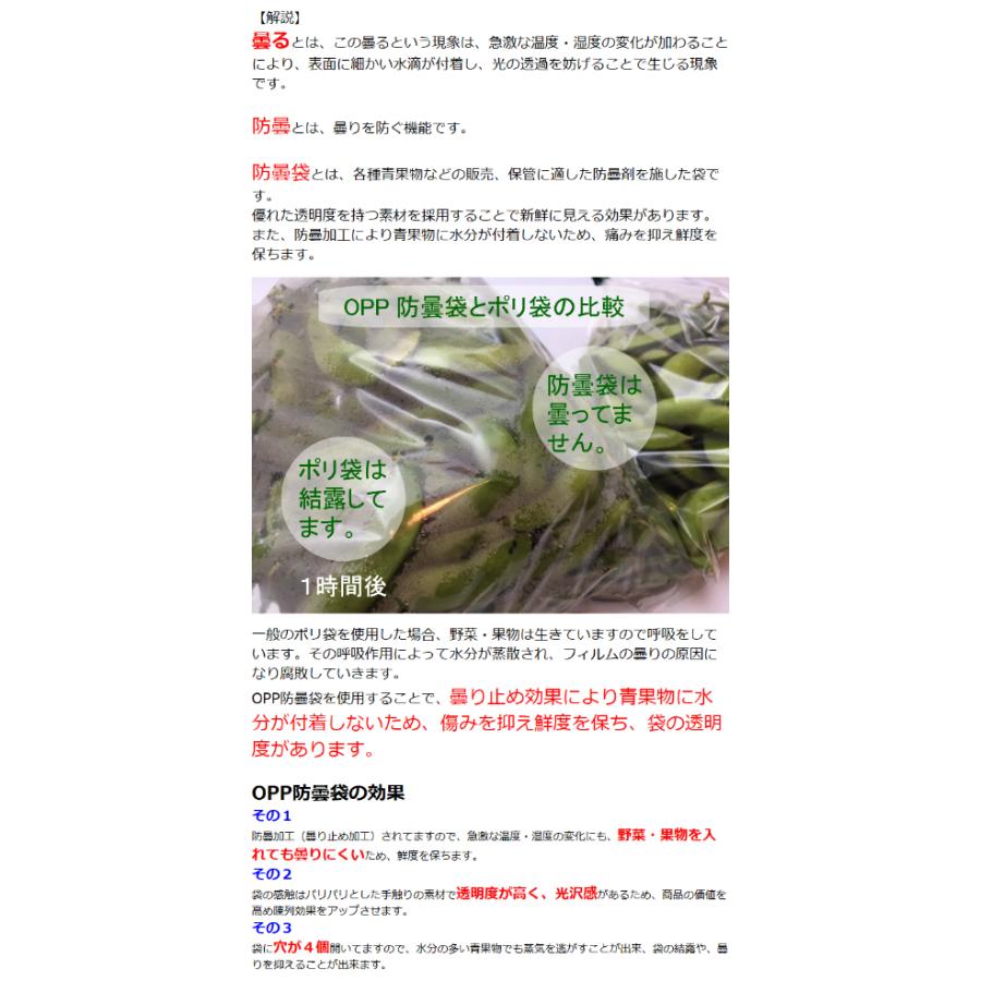 OPP ハイパーボードン #20 NO.10 4穴 0.02×180×270mm 1000枚入 信和