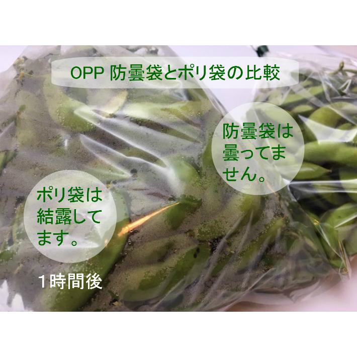 OPP ハイパーボードン #20 NO.11 4穴 0.02×200×300mm 1000枚入 信和