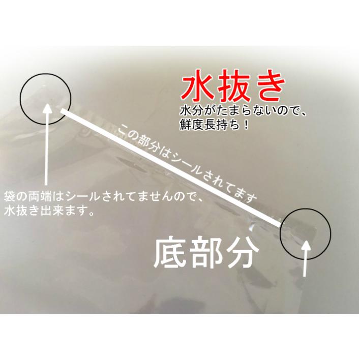 オリジナル OPP ボードン 無地 三角 ロング袋 厚み0.02×上幅280/下幅