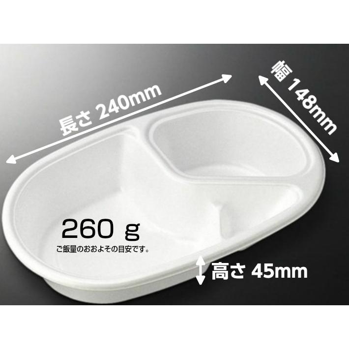 500枚セット販売】CFカレーNo.2 身：中央化学株式会社