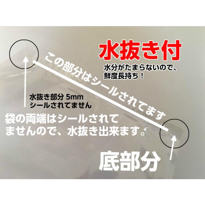 オリジナル OPP ボードン 無地三角袋 厚み0.02×上幅220/下幅120×長